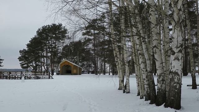 №418❄️🌺❄️Путешествуем на автомобиле по Эстонии. Санаторий "Вярска". Март. Грачи не прилетели смотреть онлайн