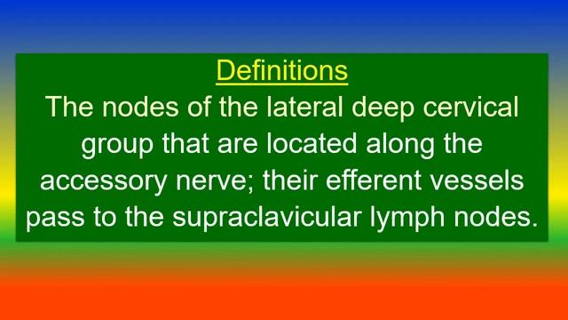 Accessory lymph nodes смотреть онлайн