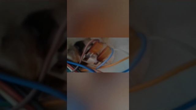 Не включается электро-духовой шкаф Nardi