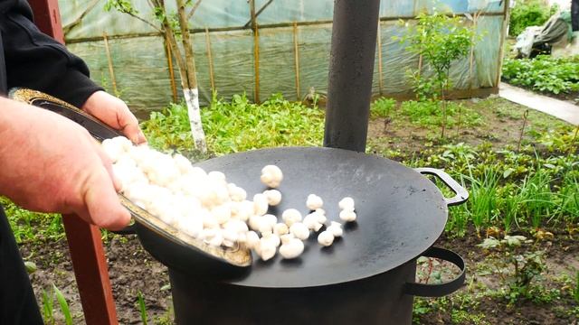 РЫБНОЕ НАСЛАЖДЕНИЕ СОМ на РИСЕ, под ШУБОЙ из ЛЕЧО в СКОВОРОДЕ на КОСТРЕ смотреть онлайн