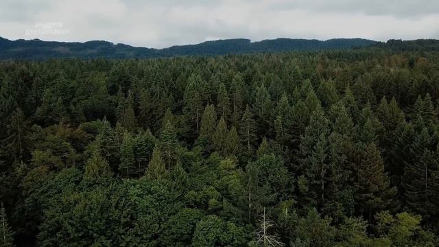 Его нашли голым и без глаз. Но что с ним произошло смотреть онлайн