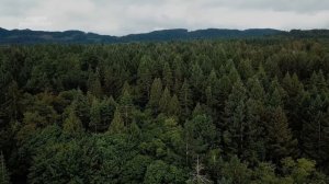 Его нашли голым и без глаз. Но что с ним произошло