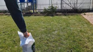 Уход за газоном после зимы. Скарификация. Удобрение газона