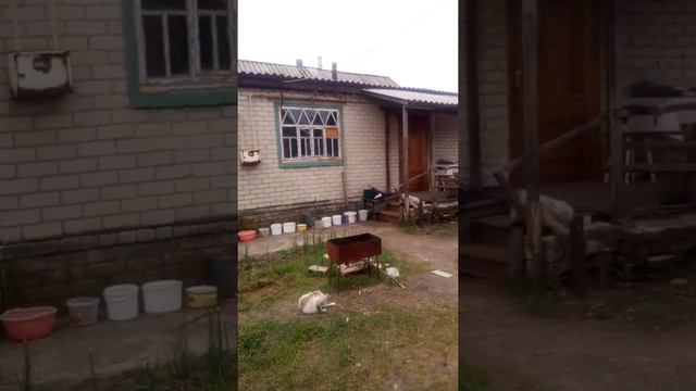 Купили дом в котором 15 лет никто не жил смотреть онлайн
