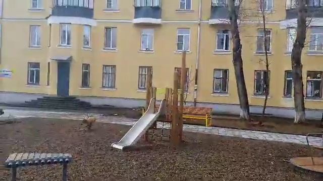 Благоустрйоство сквера на ул. Новоросисская в г. Челябинск смотреть онлайн