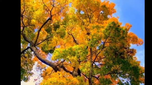 "СКУЧАЮ..."(исп.Борис Леви) смотреть онлайн