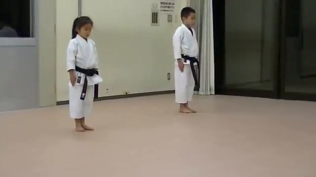 Karate Katas 1,2,3,4,5,6,7,8,