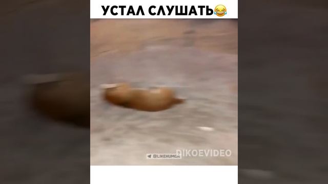 Ужас смотреть онлайн