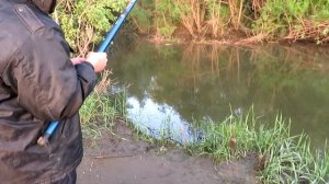 Рыбалка на реке Томь 2020 / ОЧЕНЬ КЛЁВОЕ МЕСТО!