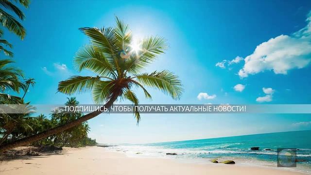 Купить билет на самолёт смотреть онлайн