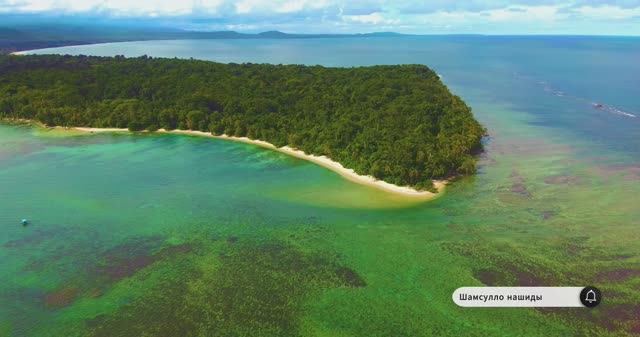 Коран сура Ал-Фалак видео 4к Миншави -Minshawiy