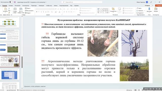 Вирусные заболевания томата и в том числе вирус коричневой морщинистости плодов томата (ToBRFV) смотреть онлайн