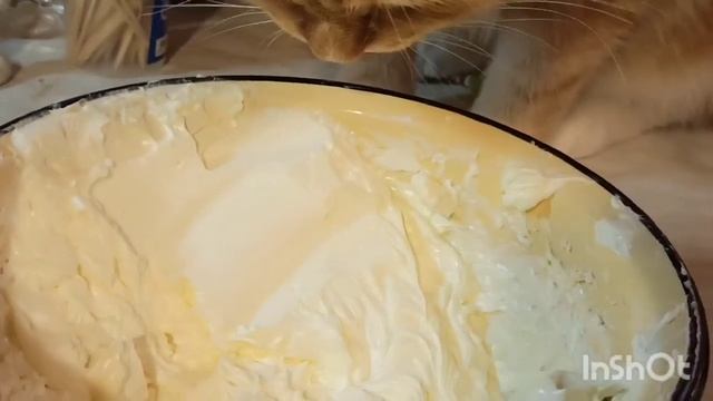 Самый простой и вкусный торт на сковороде ? Готовим дружно с ?Тарасом смотреть онлайн