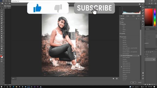 Camera Raw Filter Presets Free Download смотреть онлайн