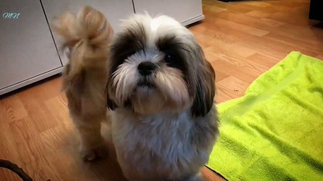 Эпопея с 500 литрами, или всё пропало. смотреть онлайн