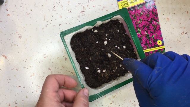СЕЮ СЕГОДНЯ АМПЕЛЬНУЮ ПЕТУНИЮ 18.01.2023г. НЕМНОГО РАБОЧЕГО ПРОЦЕССА! смотреть онлайн