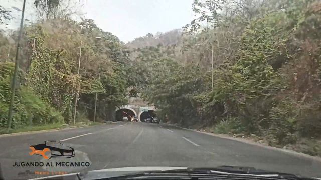 Pointer en la Carretera ?, Viaje a la Playa. ? смотреть онлайн