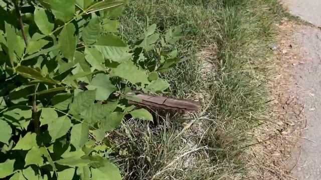 6. Севастополь. Тайган смотреть онлайн