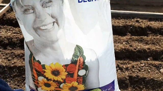 Посев озимого чеснока весной. смотреть онлайн