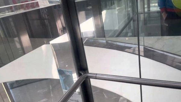 Лифт в торговом центре «Prime Plaza», в городе Москва // 19 июня 2023 года