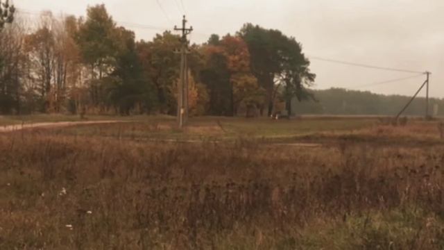 Каспийский Груз - Табор уходит в небо. Клип (Cover version) смотреть онлайн