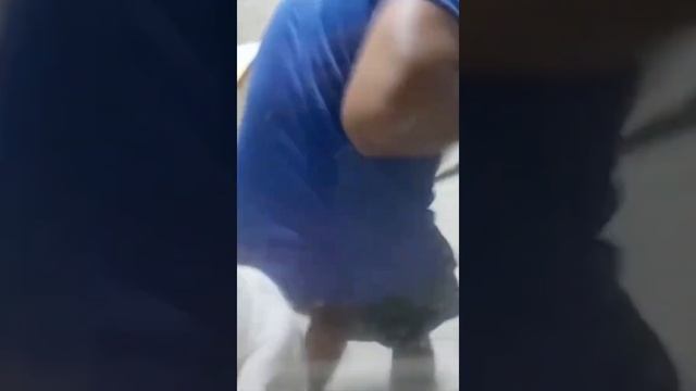 Мужик взял своего кота на помощь для ловли мышей, но что-то пошло не так… смотреть онлайн