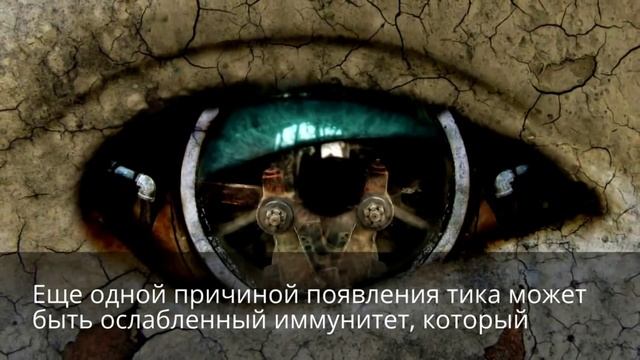 Почему дергается веко левого глаза смотреть онлайн