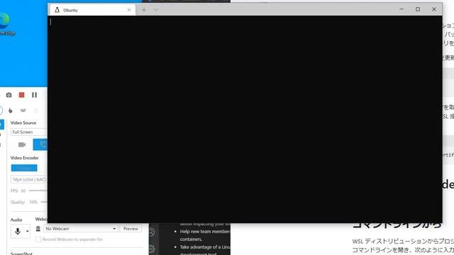 WindowsにJavaScriptの開発環境を構築する 【WSL2なんで必要？】 смотреть онлайн