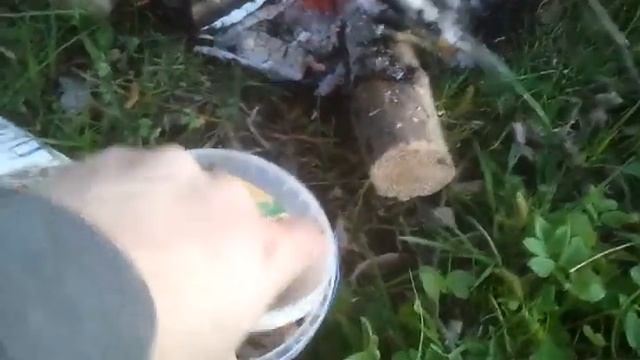 Шашлык из шампиньонов Жарим шашлик з шампінйонів Подписывайтесь на канал смотреть онлайн
