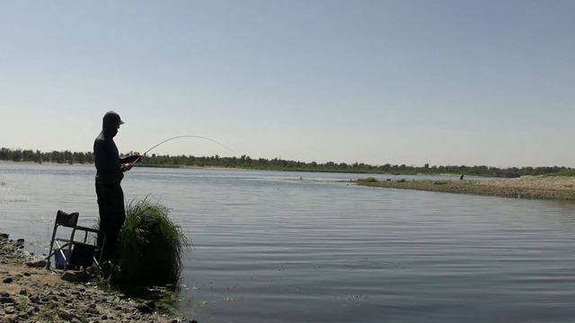 Ловля карася на поплавок. Карасёвая рыбалка с коротким махом. смотреть онлайн
