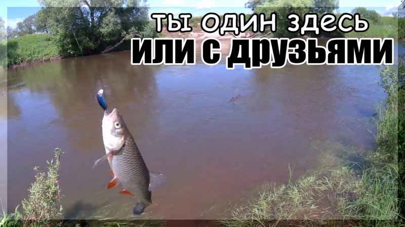 Доловил лобатого(голавля)... Лучший воблер сезона снова с уловом. Голавль на спиннинг. смотреть онлайн