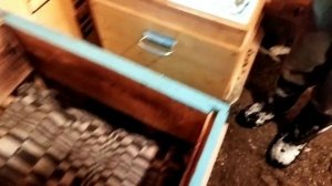 Зимовка пчёл в омшанике/пчёлы в Зимовники/пчеловодство