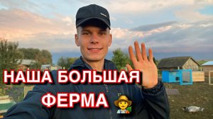 Жизнь в деревне ХОРОША  ОБЗОР ВСЕГО ХОЗЯЙСТВА | Строим Павлинятник | Куры, Утки, Кролики