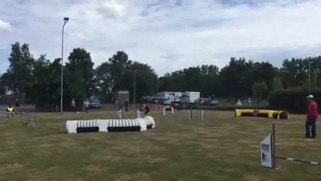 Pandora Agility
