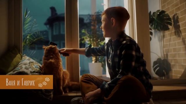 Реклама Purina смотреть онлайн