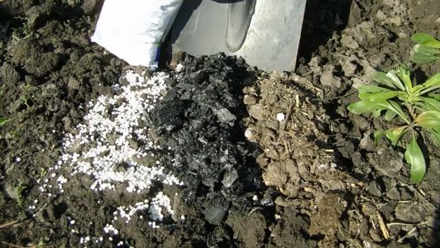 Соль на даче польза или вред | Советы огородникам смотреть онлайн