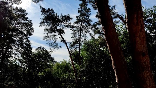 В поисках еды ? Холодная река ? но Артура всё равно с воды не вытащить смотреть онлайн