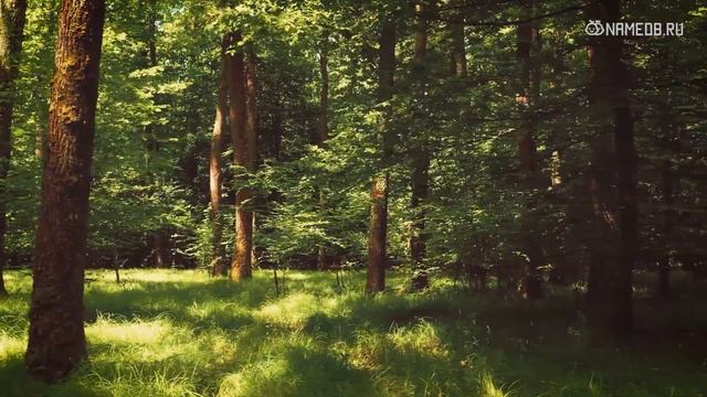 Эти 4 знака Зодиака ждет черная полоса в любви на стыке Лета и Осени 2022 смотреть онлайн