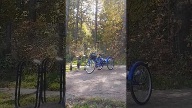 Солнечногорск озеро Сенеж 2020г смотреть онлайн