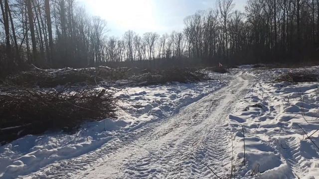 В ОЧЕРЕДНОЙ РАЗ КОМУ-ТО ПОНАДОБИЛОСЬ ИСПОРТИТЬ КРАСОТУ ПРИРОДЫ И ИМЕННО ЗДЕСЬ ПОСТРОИТЬ СПОРТШКОЛУ смотреть онлайн