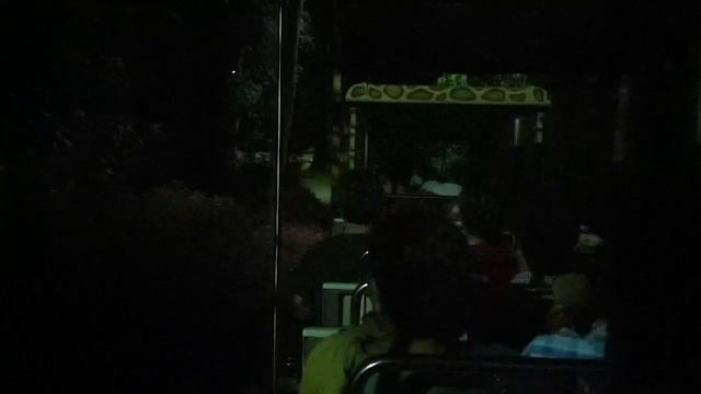 Night Safari Singapore Zoo 2019. Unique World Famous Jungle Safari experience in the Asian Darkness смотреть онлайн