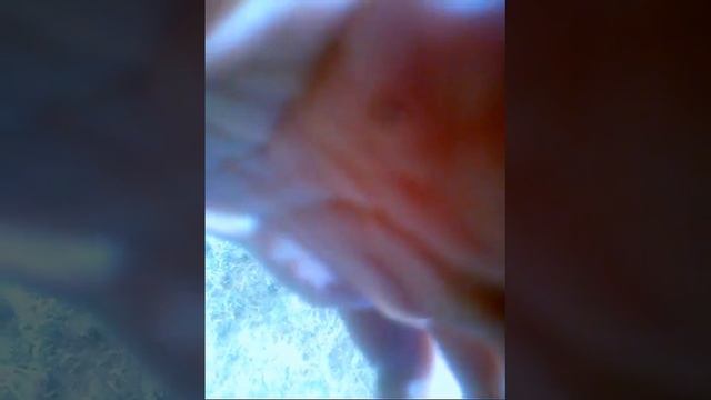 Дачная атмосфера смотреть онлайн