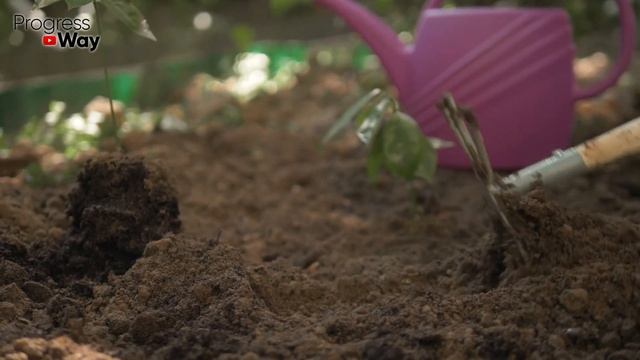 МУРАВЬИ? ЗАБУДЬТЕ О НИХ НАВСЕГДА!