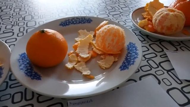 ПОЛУ RYTP обкуриный обзор на мандарины смотреть онлайн