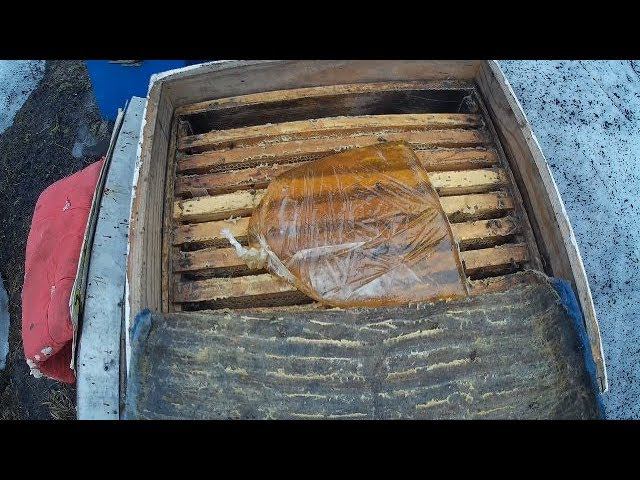 Подкормка пчёл весной. Весенняя стимуляция пчелосемей смотреть онлайн