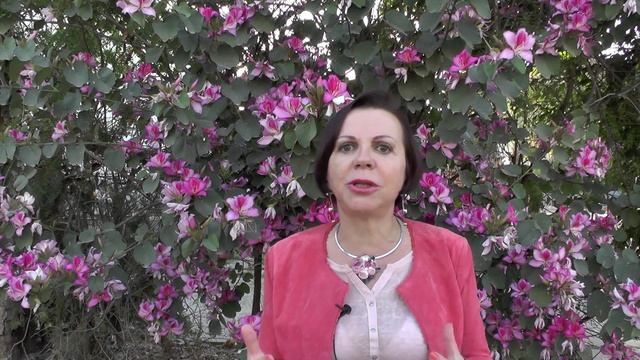 Мотивация.Что такое мотивация?! смотреть онлайн