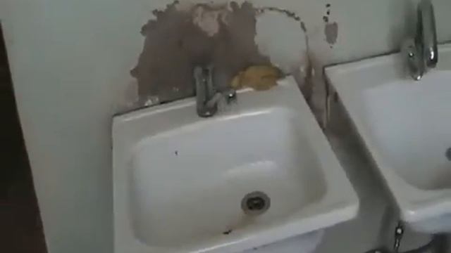 ТУБИЧКА МЕЖДУРЕЧЕНСК