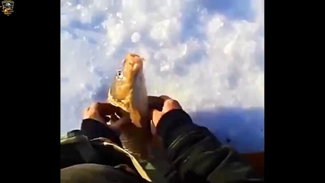 Настоящий рыбак ищет не удобное место, а рыбное/Зимняя рыбалка/Шок рыбалка/ВЕСЁЛАЯ РЫБАЛКА 2022/ смотреть онлайн
