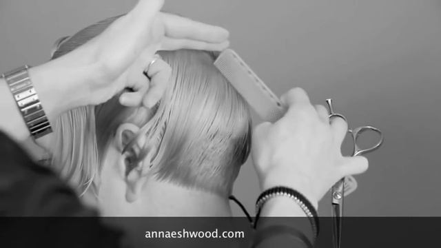 SHORT HAIRCUT Triangular Fundamental Shape With Precision