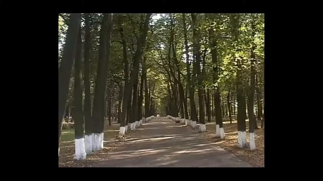 ШУЯ. исп. муз. Евгений Лощилов,сл. Юрий Рассветов ( видеоряд ЮТУБ) смотреть онлайн